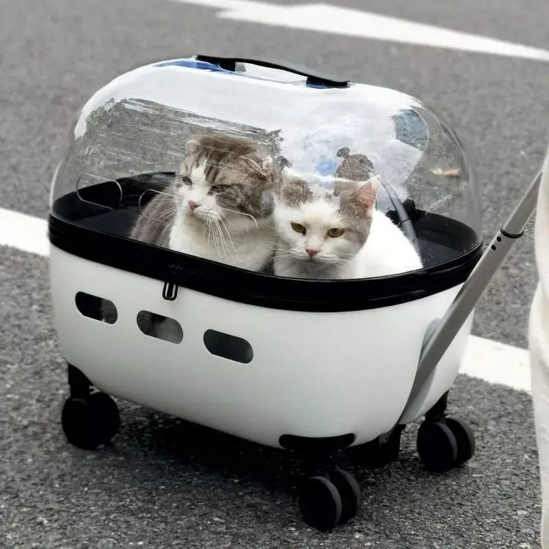 Pet Angel™ Luxe Voyager Carrier – Transparent Rolling Travel Bag for Cats & Small Pets