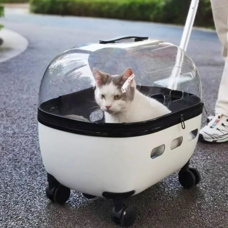 Pet Angel™ Luxe Voyager Carrier – Transparent Rolling Travel Bag for Cats & Small Pets
