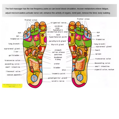 ZenRelief Foot & Leg Massager | Heated Shiatsu Therapy for Total Relaxation