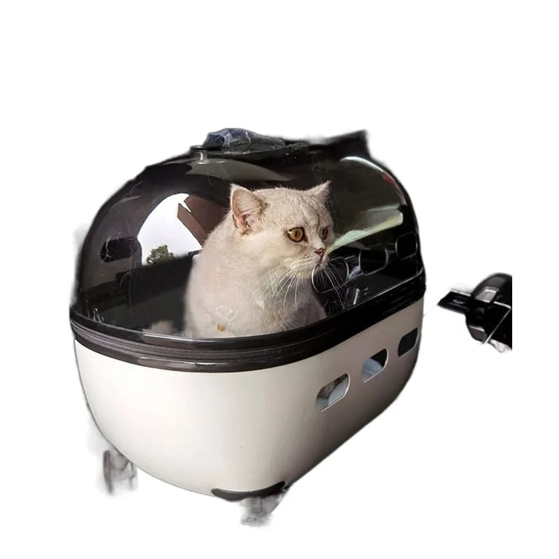 Pet Angel™ Luxe Voyager Carrier – Transparent Rolling Travel Bag for Cats & Small Pets