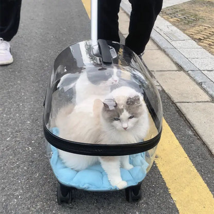 Pet Angel™ Luxe Voyager Carrier – Transparent Rolling Travel Bag for Cats & Small Pets
